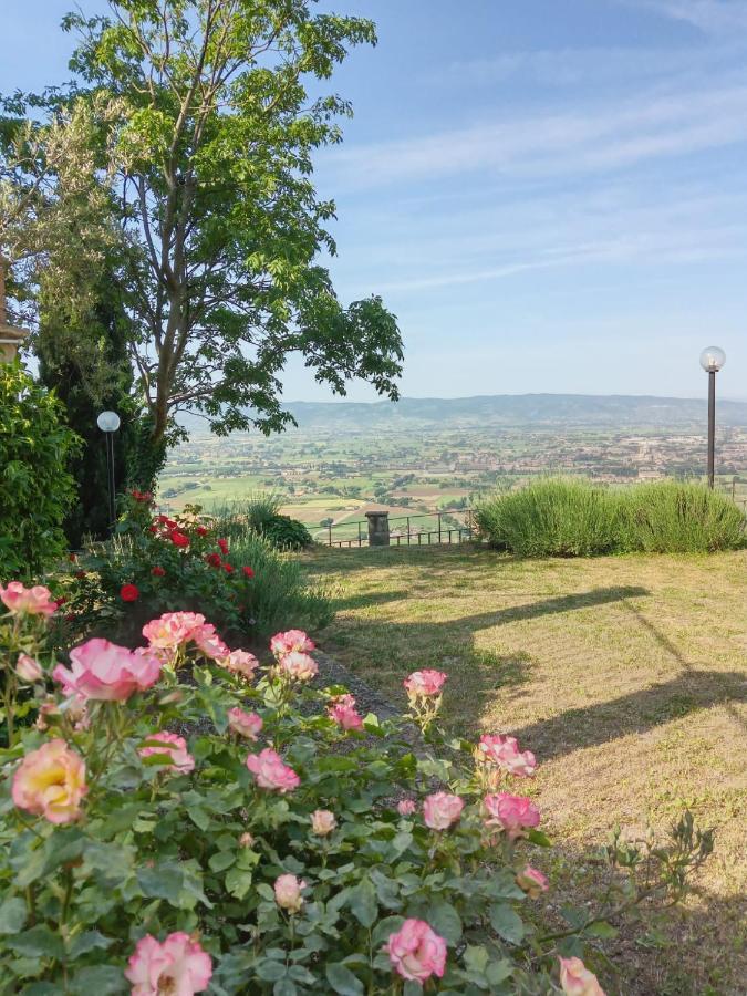 Residenza Messer Pajola Assisi Exteriér fotografie