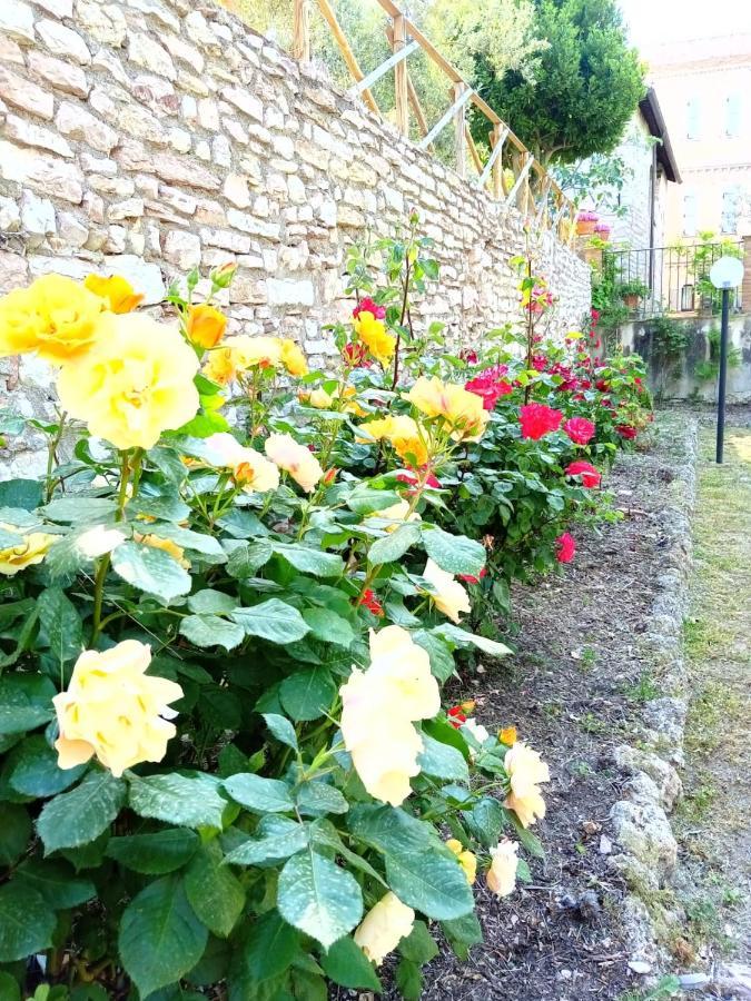 Residenza Messer Pajola Assisi Exteriér fotografie