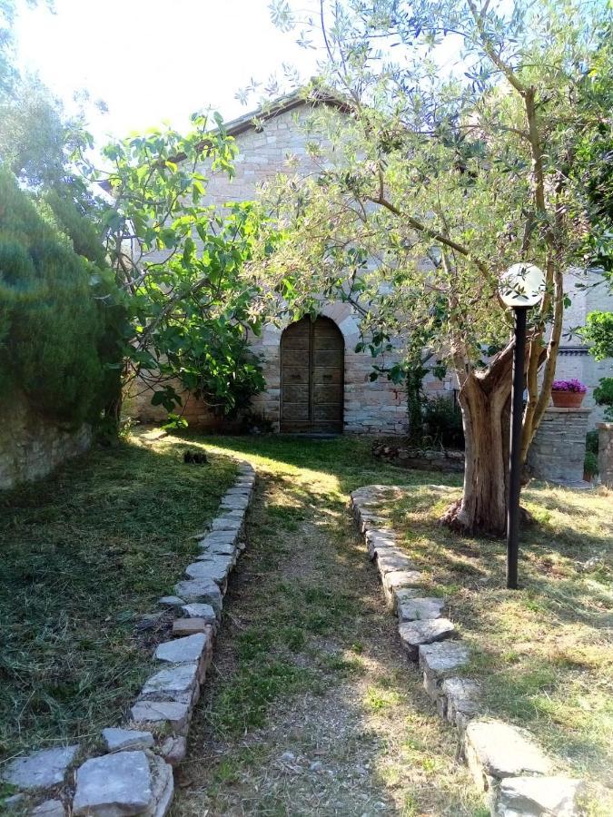 Residenza Messer Pajola Assisi Exteriér fotografie